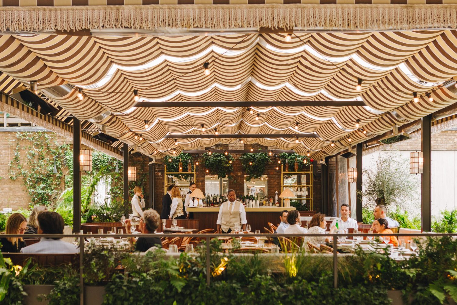 The Terrace